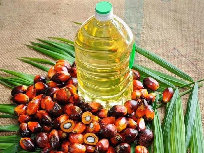 Производные пальмового масла и их применение