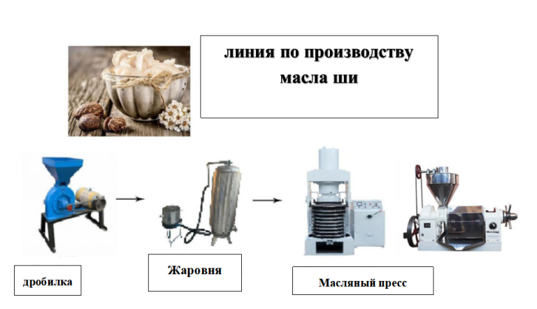 Разработка масла ши в Уганде