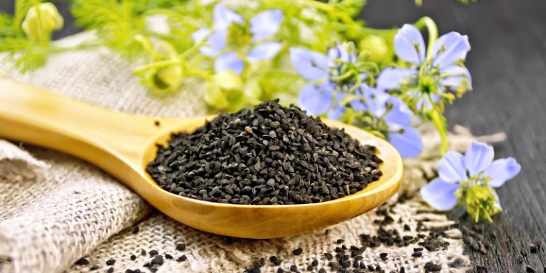 Производственная линия по прессованию масла из семян черного тмина (Nigella sativa)