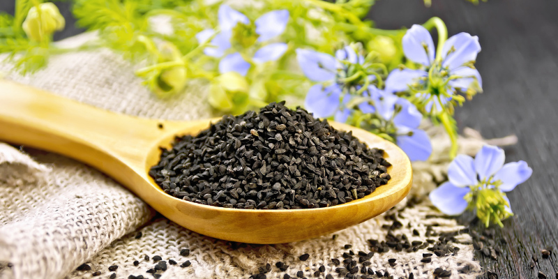 Производственная линия по прессованию масла из семян черного тмина (Nigella sativa)